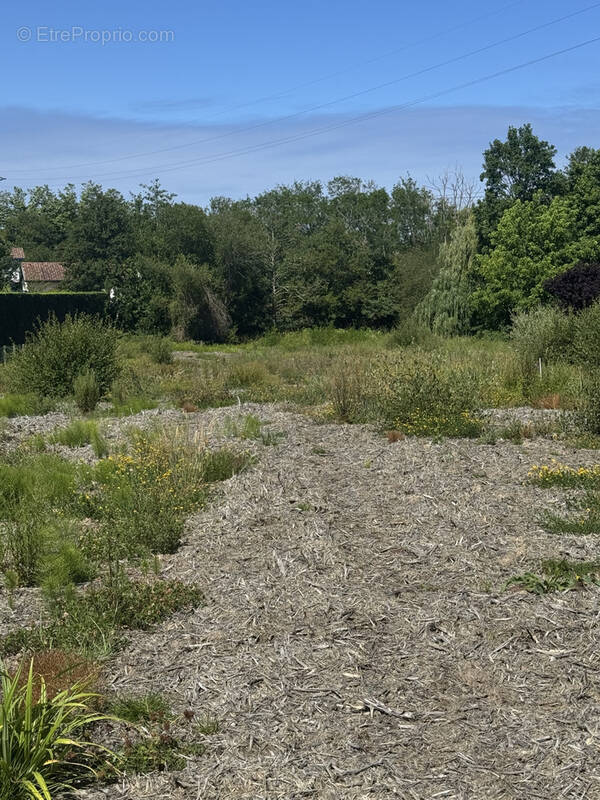 Terrain à BIDART