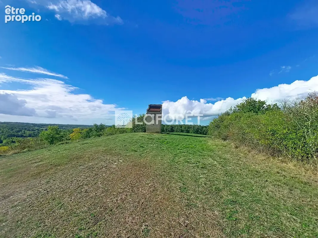 Propriété de 116 hectares !!!  20 minutes Est de Montauban - photo 10