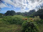 Terrain à SAINTE-MARIE