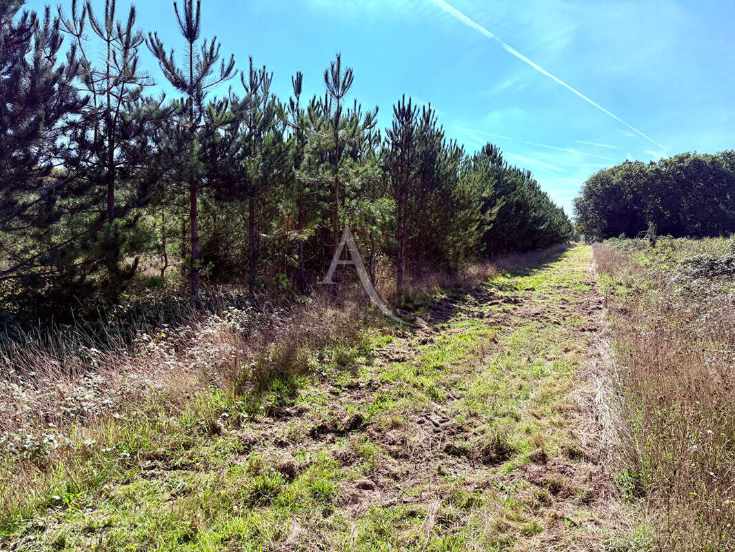 Terrain à LA FERTE-SAINT-AUBIN