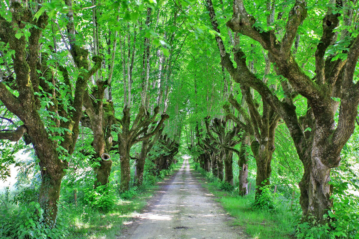 Maison à CHAMPAGNAC-DE-BELAIR