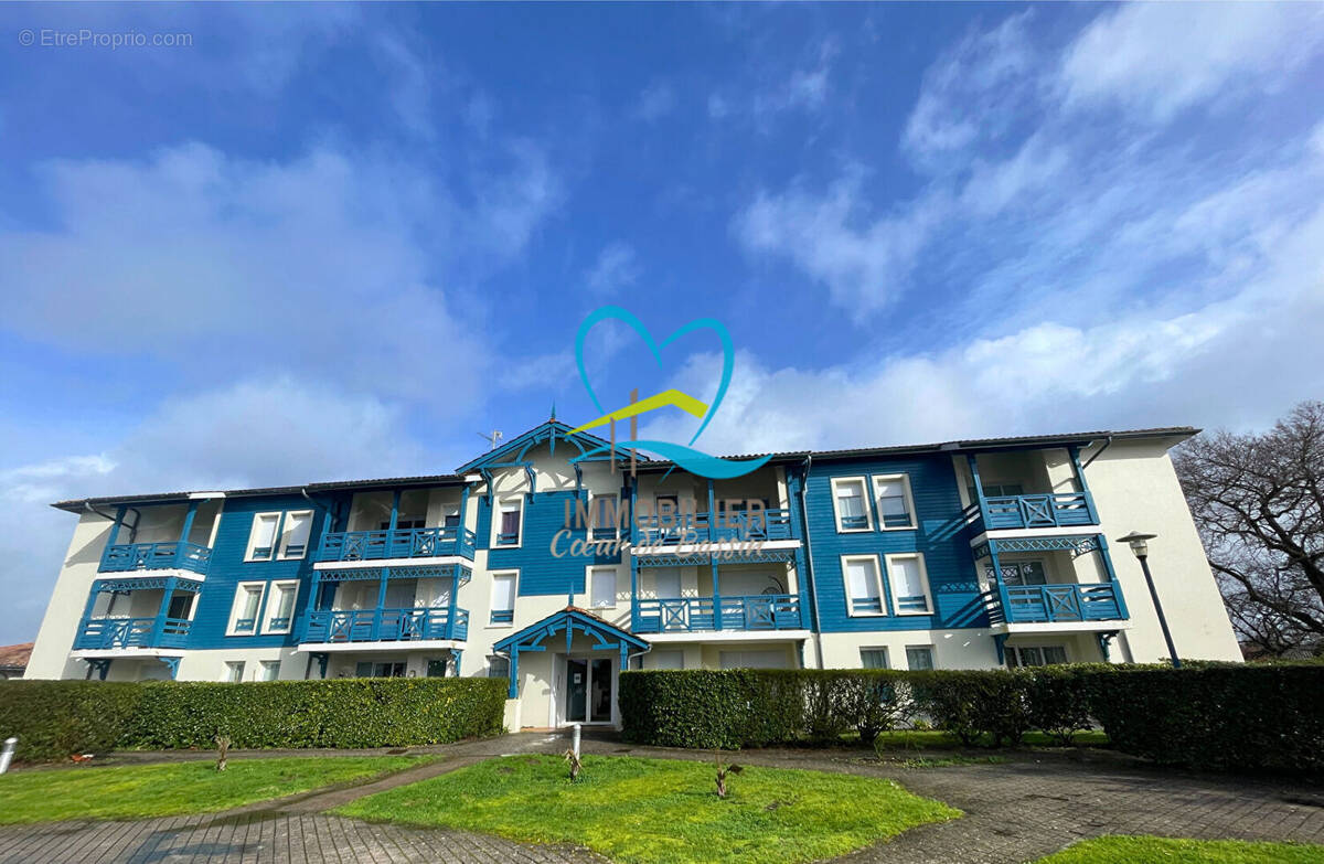 Appartement à AUDENGE