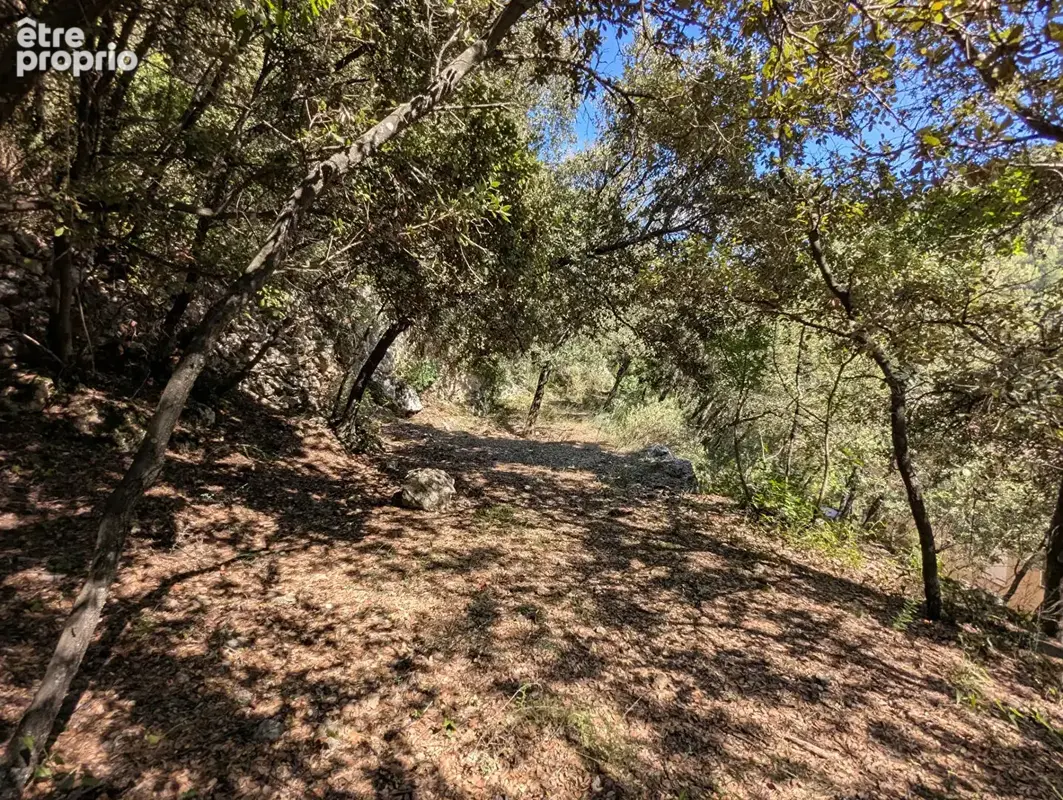 SALERNES, bastide 250 m², 8 pièces, cabanon en pierre, cave, terrain 6.780 m² au calme - photo 17