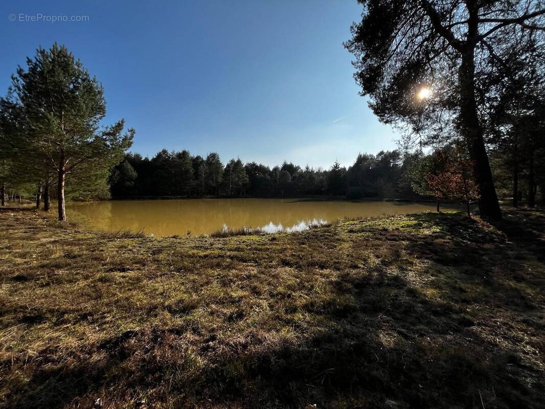 Maison à VIENNE-EN-VAL