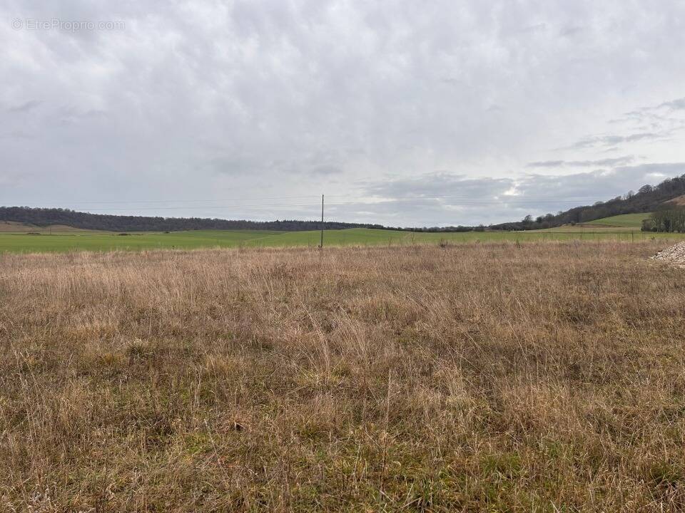 Terrain à MESNIERES-EN-BRAY