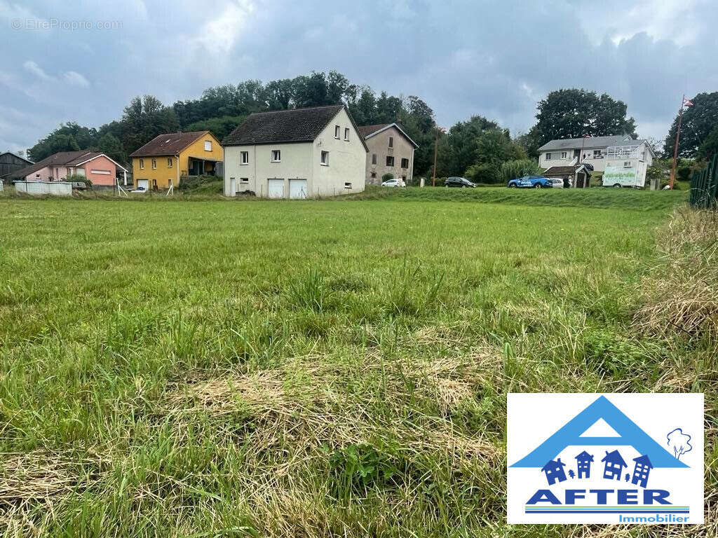 Terrain à SAINT-GORGON