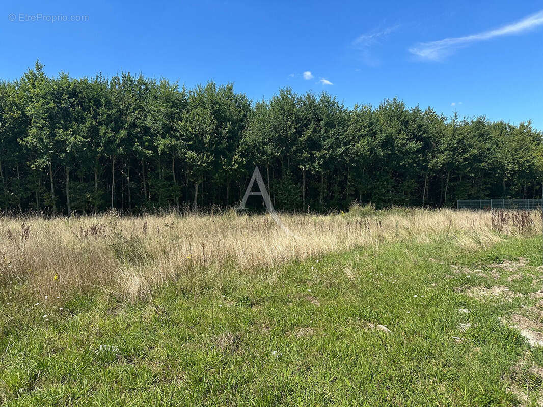 Terrain constructible à Boigny-sur-Bionne (45760)  970 m² - photo 2