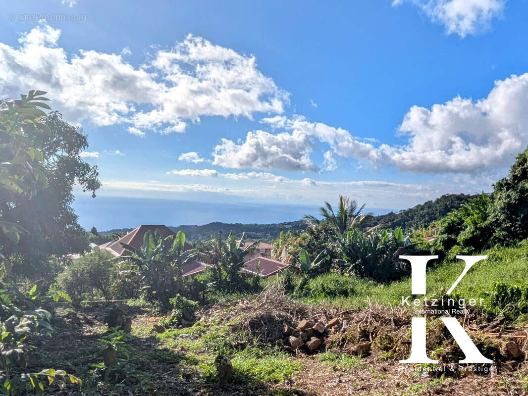 Terrain à SAINT-CLAUDE