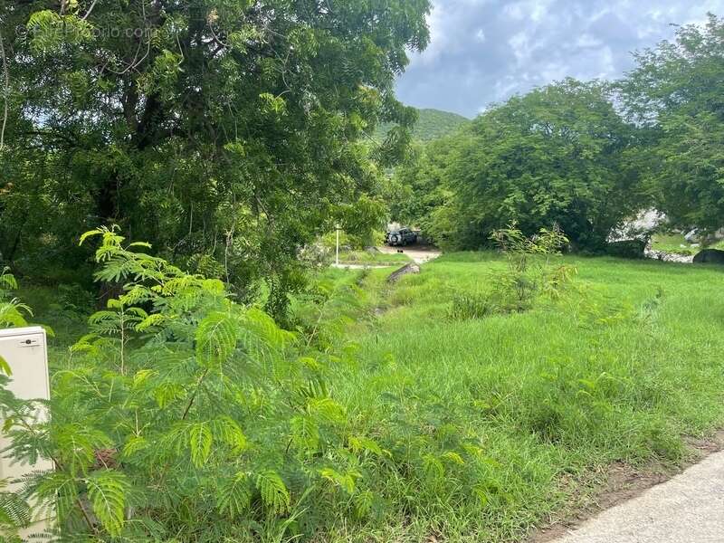 Terrain à SAINT-MARTIN