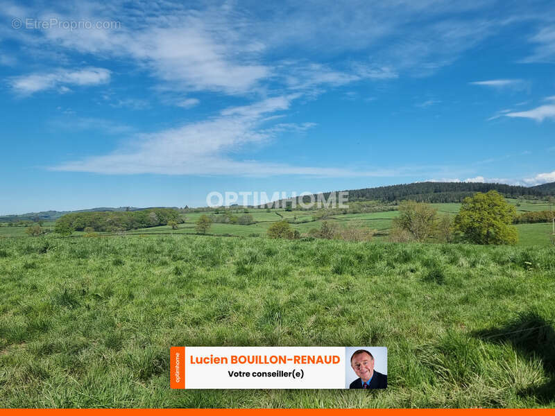 Propriete agricole avec 10 hect de terrain à  vendre /  7 pièces + DEPENDANCES - photo 21