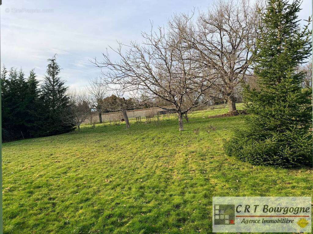 Maison à VILLIERS-SAINT-BENOIT