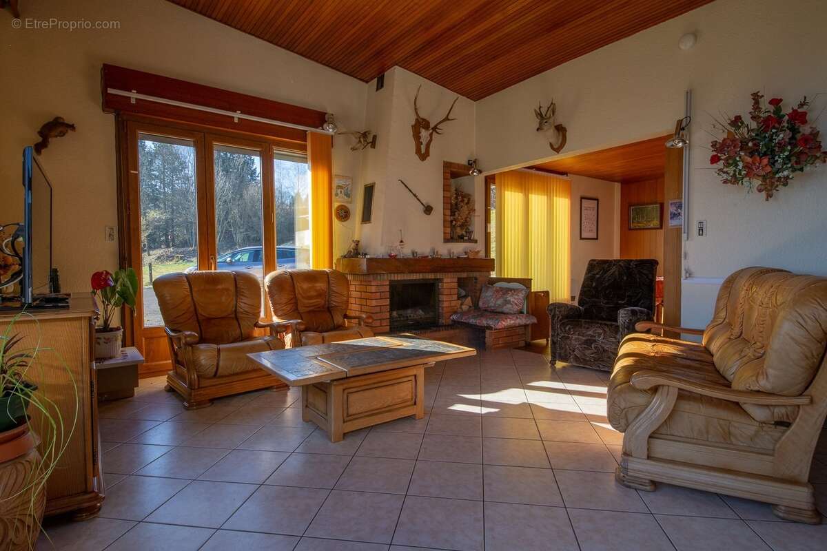 RUPT SUR MOSELLE (88)A vendre propriété T 10 pièces de 195m² sur sous sol + 4 box à chevaux +rucher, terrain 3.6 hectares - photo 17