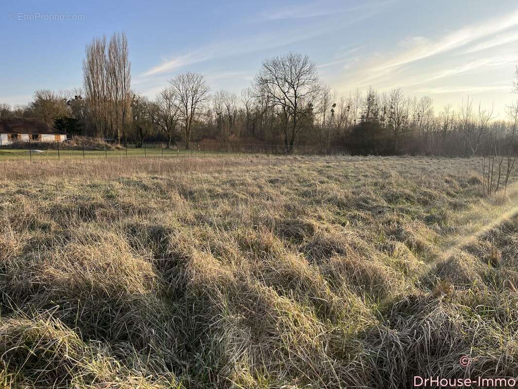 Terrain à SAINT-BENOIT-SUR-SEINE