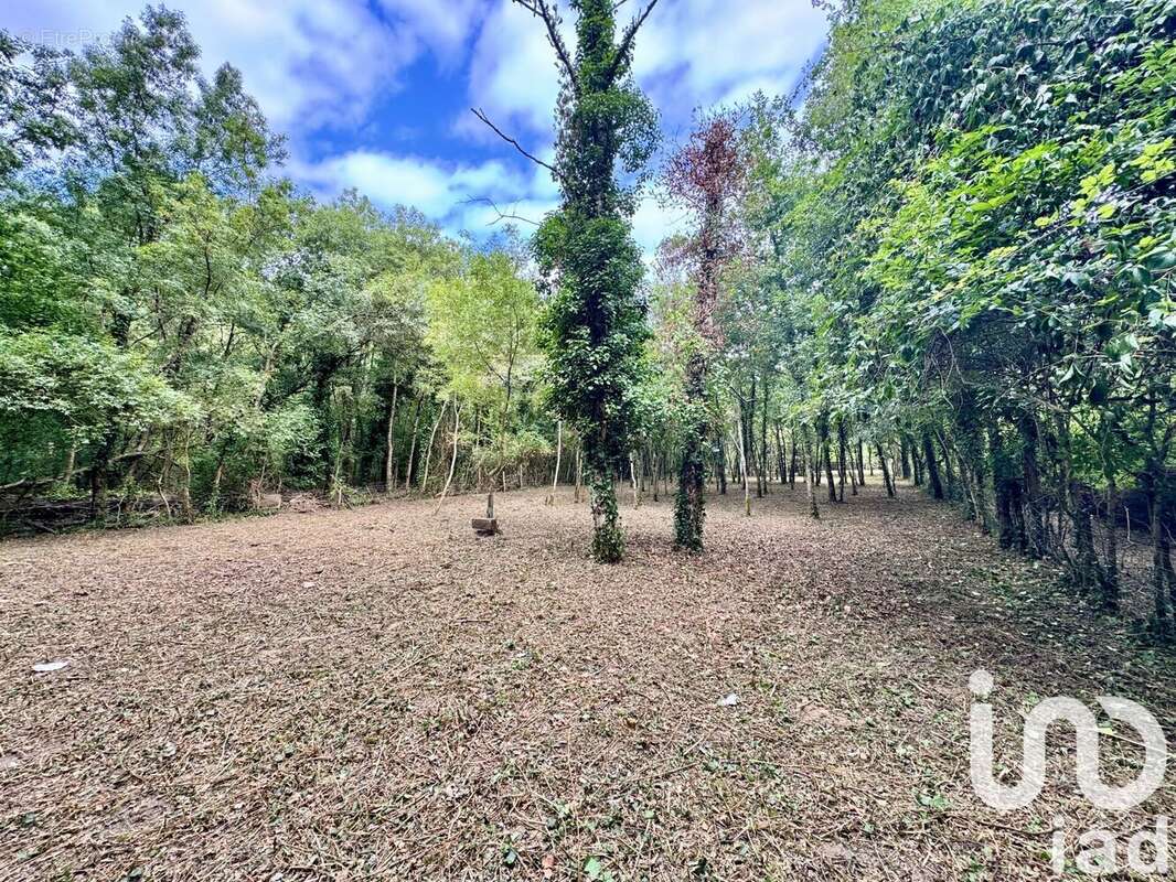 Terrain 1791 m² à Savigny-En-Veron  - photo 6