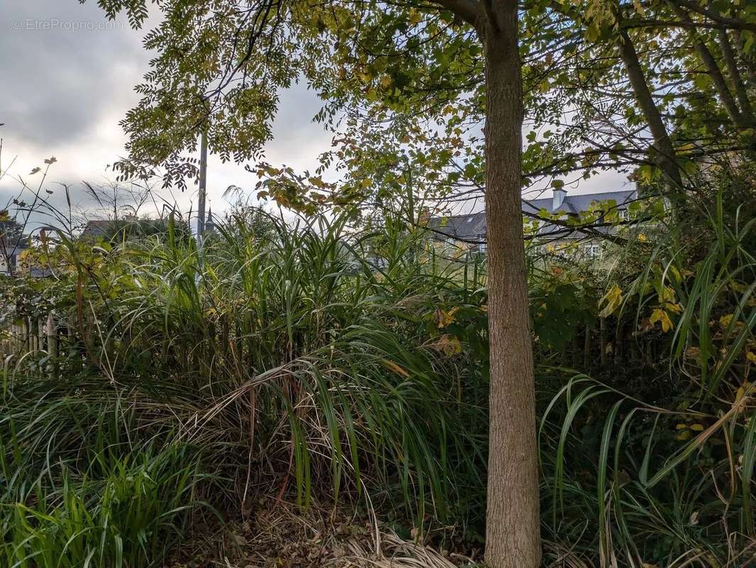 Terrain à PLESLIN-TRIGAVOU