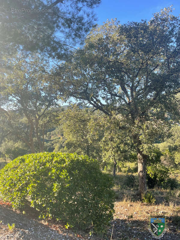 Terrain à LA LONDE-LES-MAURES