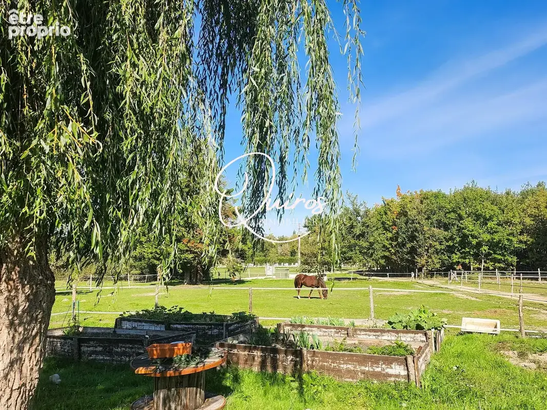 Maison 10 pièces 300 m² à vendre à Lamotte-Beuvron (41600) - photo 5