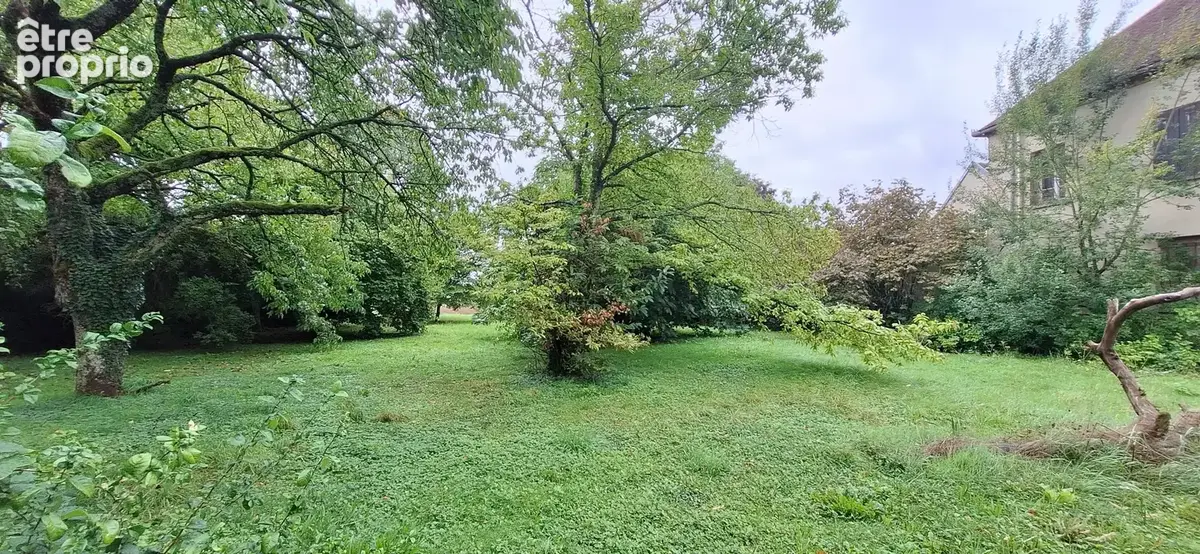 Maison  de campagne de 202 m2,charme et calme au rdv,nombreuses dependances sur terrain et verger de 4507m2 - photo 30