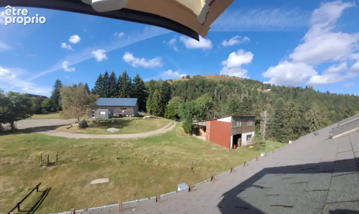 Rare : Hauts du Gaschney Studio au pied du massif - photo 2