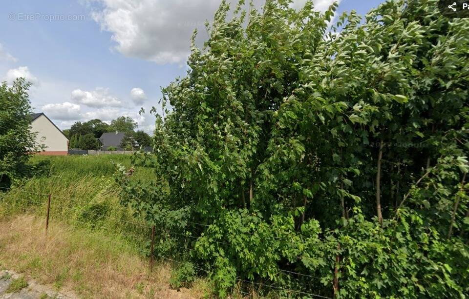 Terrain à RUMAUCOURT