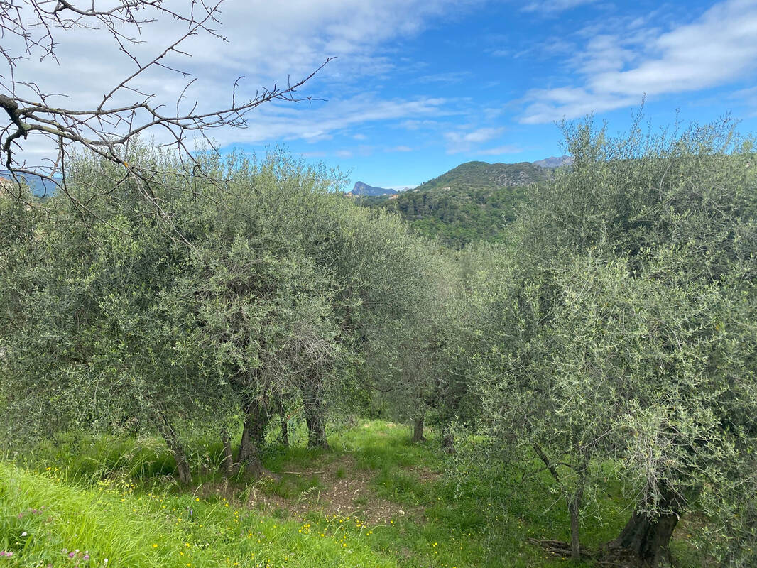 Terrain à SAINT-BLAISE