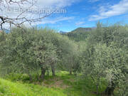 Terrain à SAINT-BLAISE