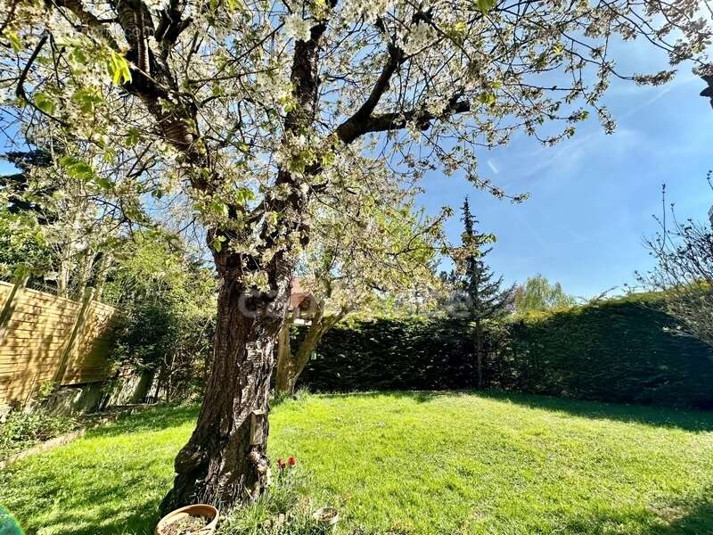 Maison à SAINT-GERMAIN-EN-LAYE