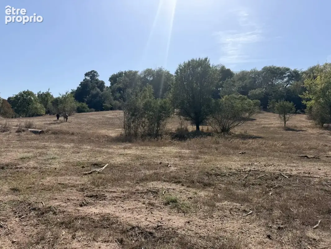 Propriété de 10 hectares en Provence - photo 13