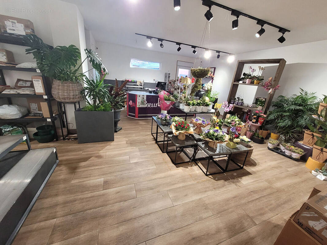 Commerce à SAINT-AMAND-LES-EAUX