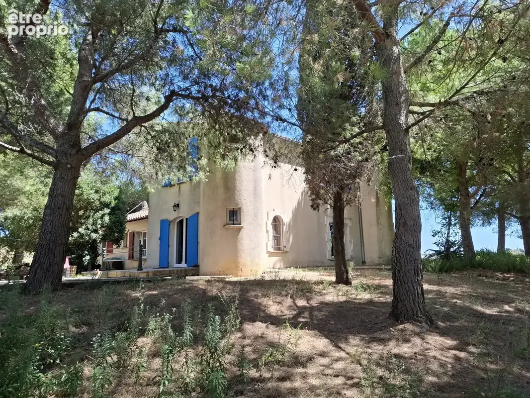 Domaine entre Alpilles et Arles - photo 11