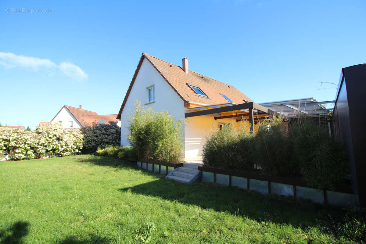 Maison à OBERMODERN-ZUTZENDORF