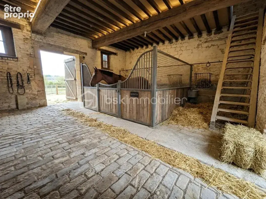 BARBY – Ensemble immobilier (470 m² bâtis) - photo 13