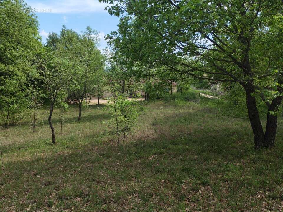 Terrain à QUINSON