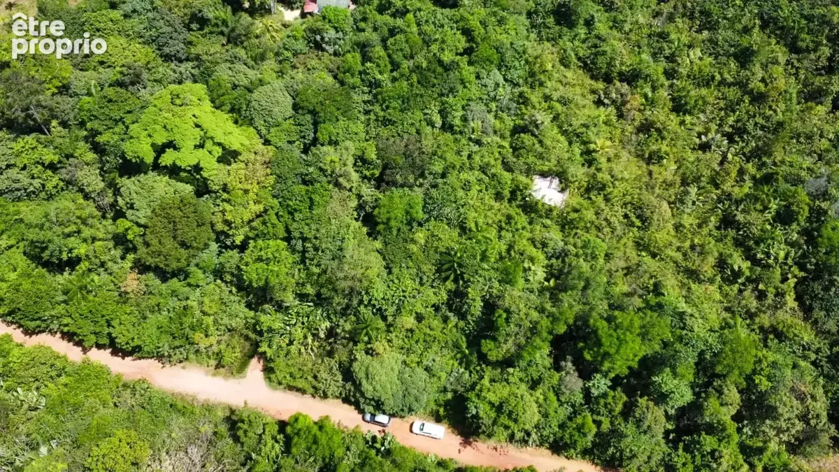 Vente terrain 2 hectares - photo 4