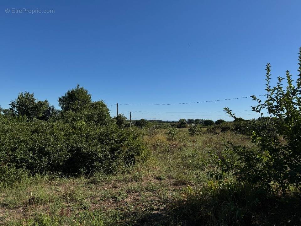 Terrain à MONTPEZAT