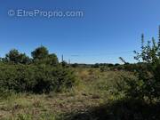 Terrain à MONTPEZAT