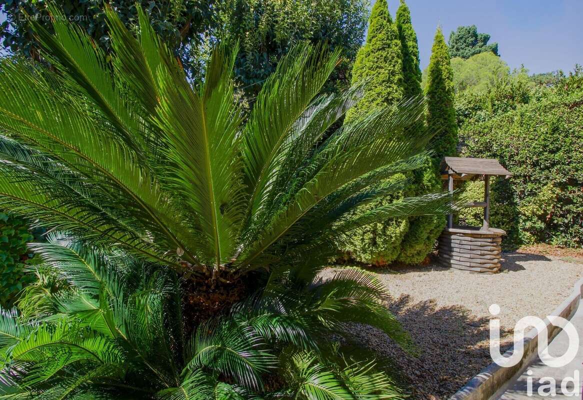 Photo 2 - Maison à ANTIBES