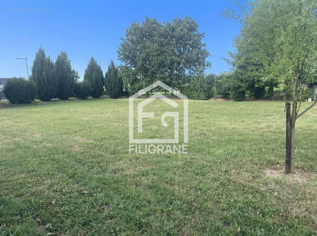 Terrain à SCHNERSHEIM