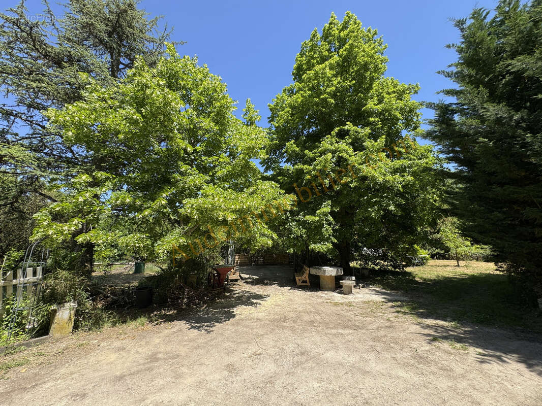 Maison avec jardin de 3500m2 environ - photo 4