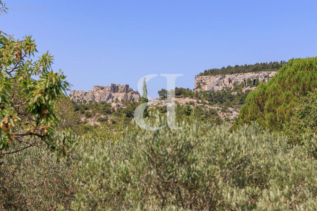 Maison 227 m² à Les Baux-De-Provence  - photo 7