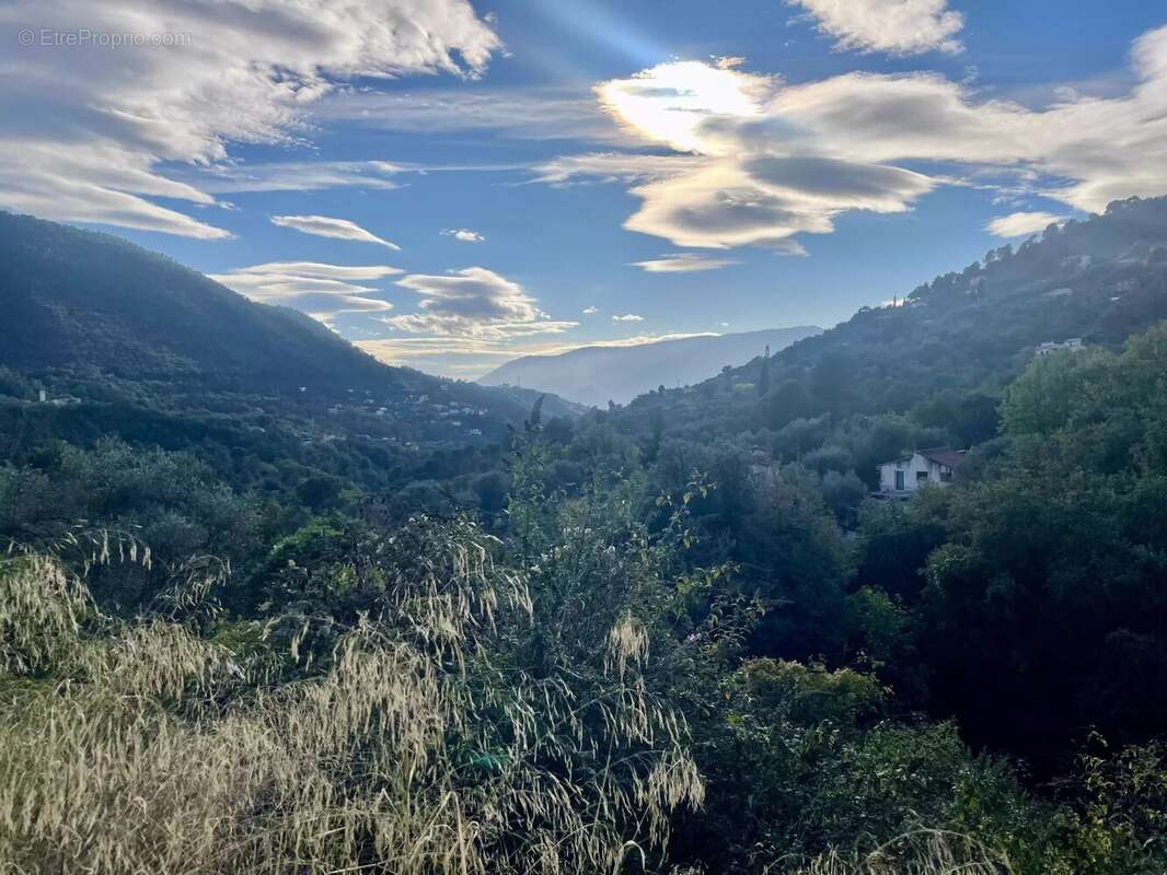 Terrain à SAINT-BLAISE