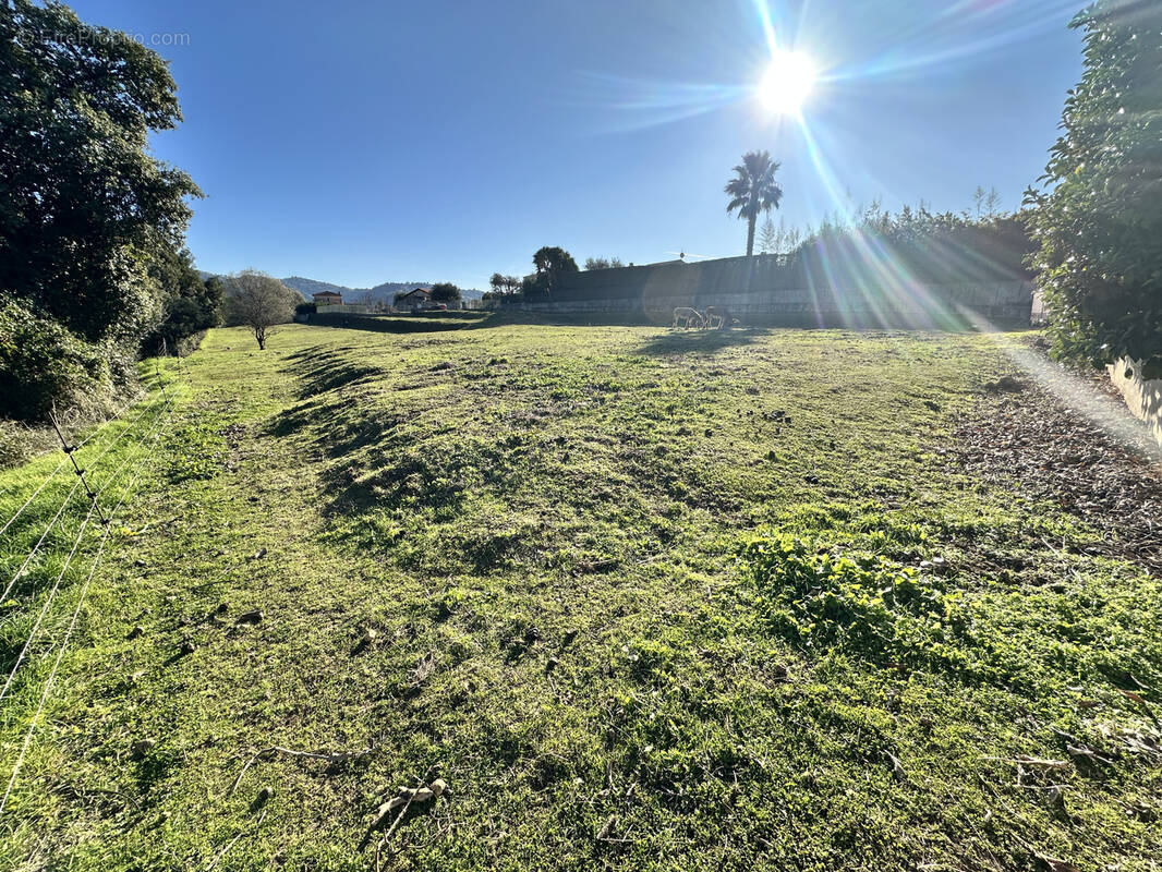 Terrain à CARROS