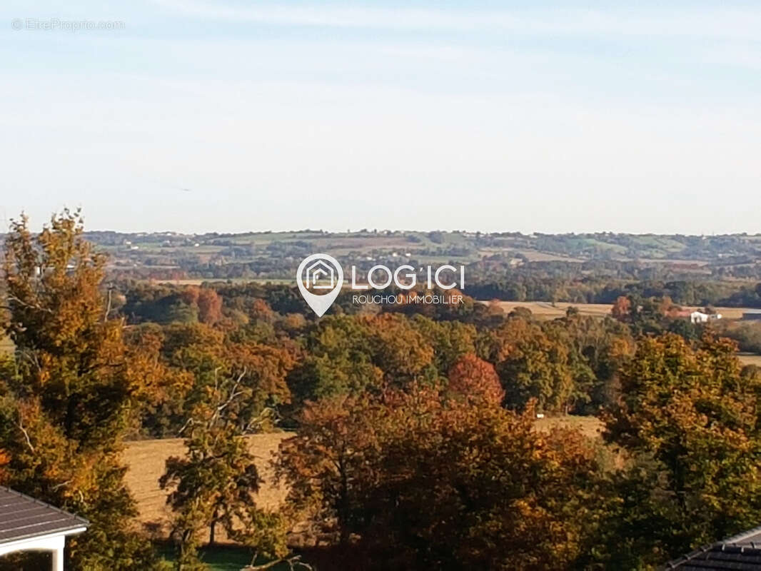 Terrain à VIELLENAVE-D'ARTHEZ