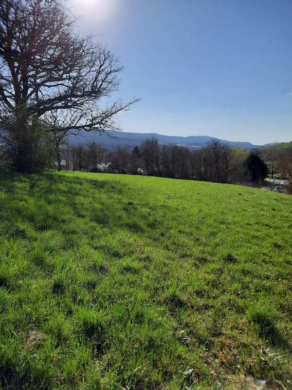 Terrain à SAINTE-EULALIE-DE-CERNON