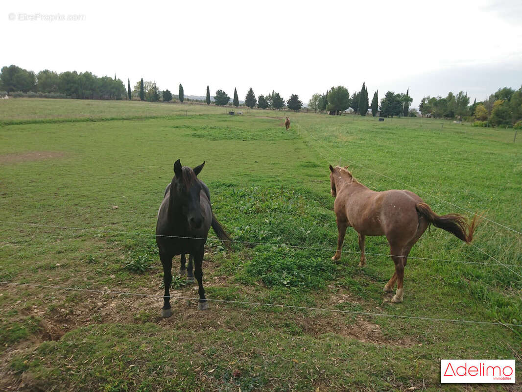 Maison à MAUSSANE-LES-ALPILLES