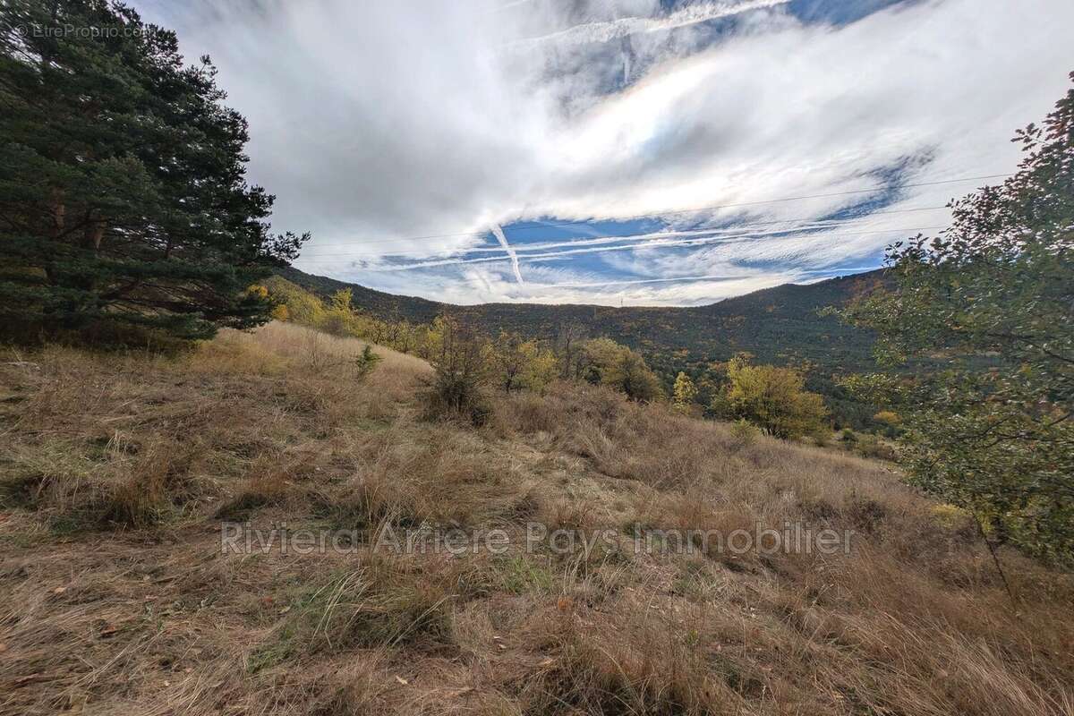 Terrain à VAL-DE-CHALVAGNE