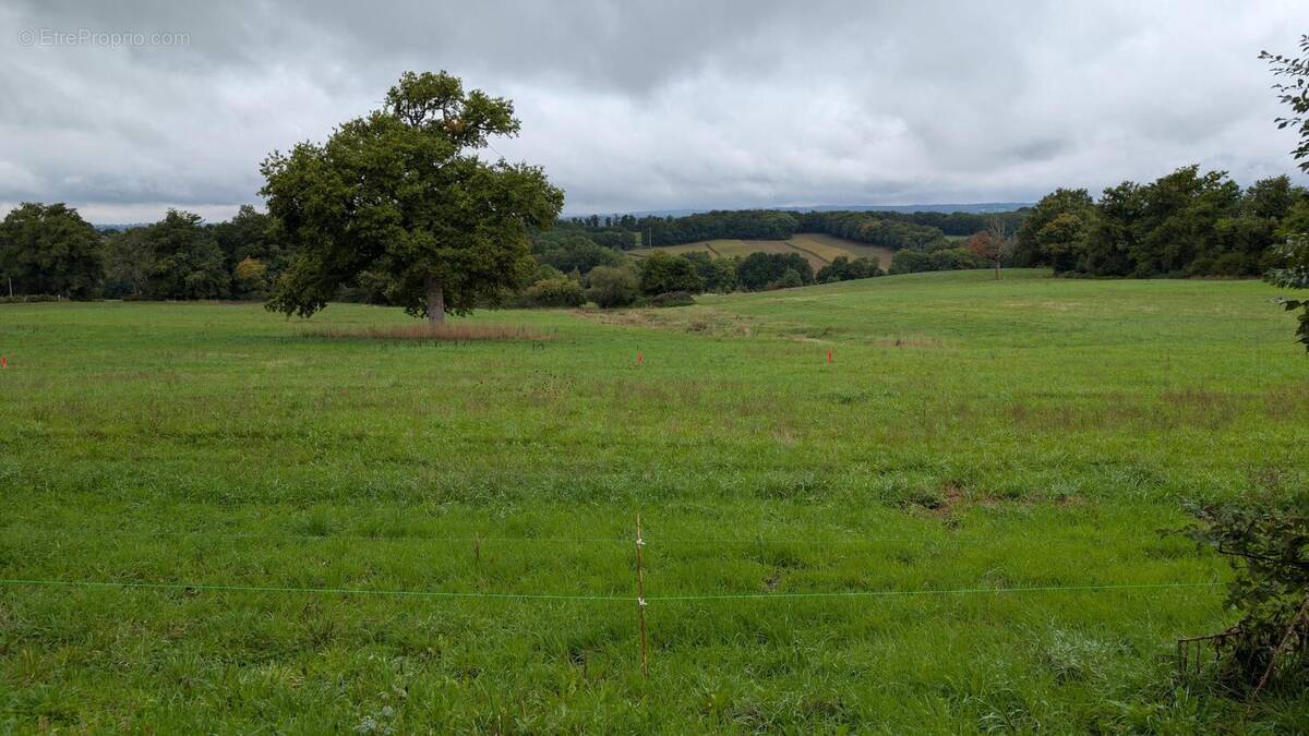 Terrain à BEYNAC
