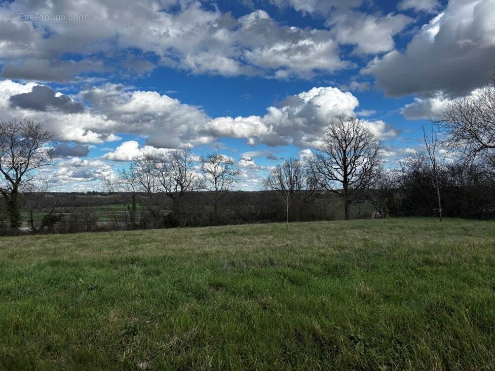 Terrain à MONMADALES