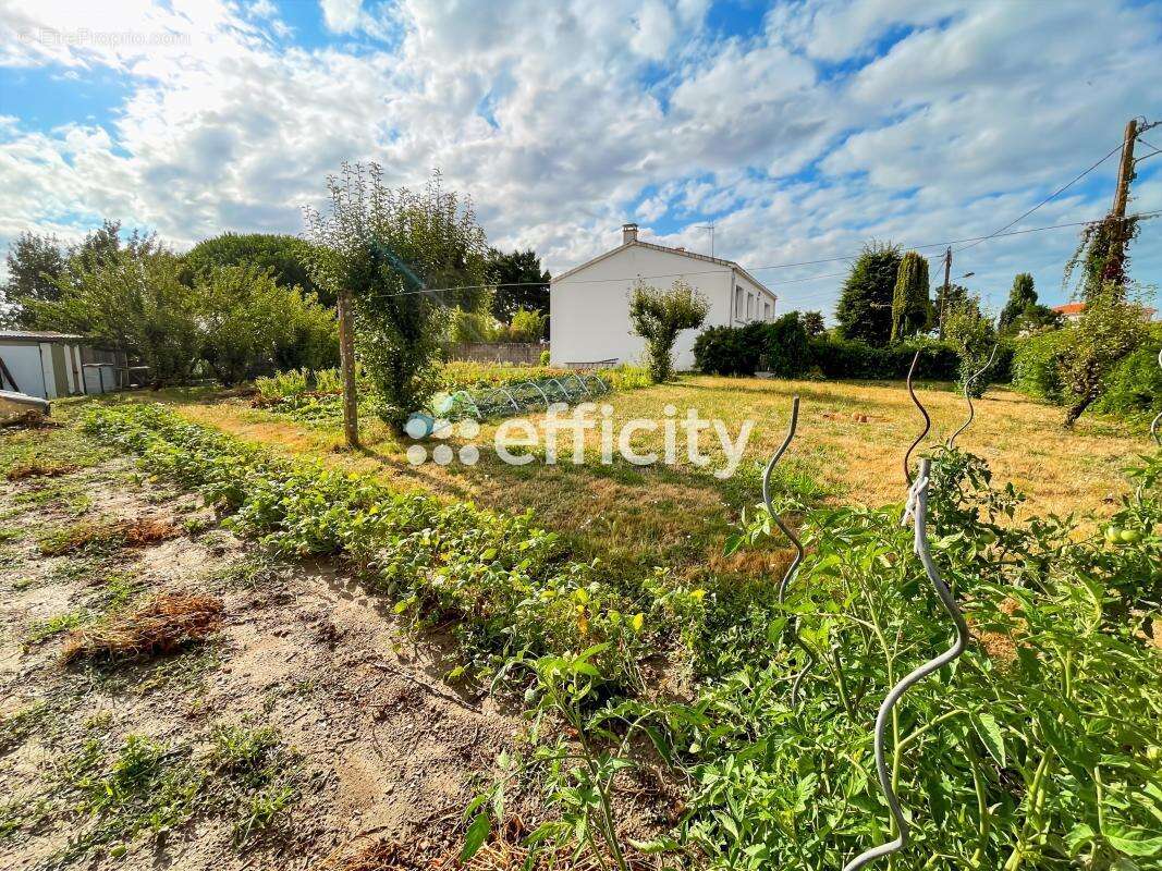 Maison à L&#039;ILE-D&#039;OLONNE