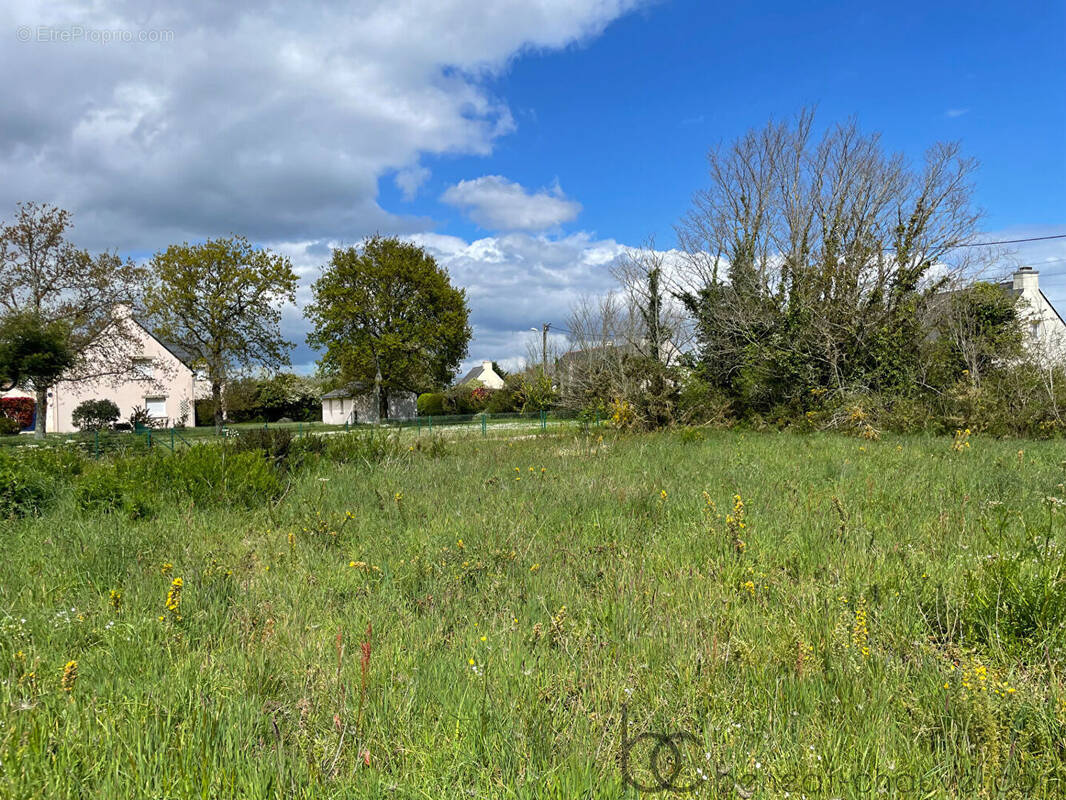 Terrain à SAINT-GILDAS-DE-RHUYS